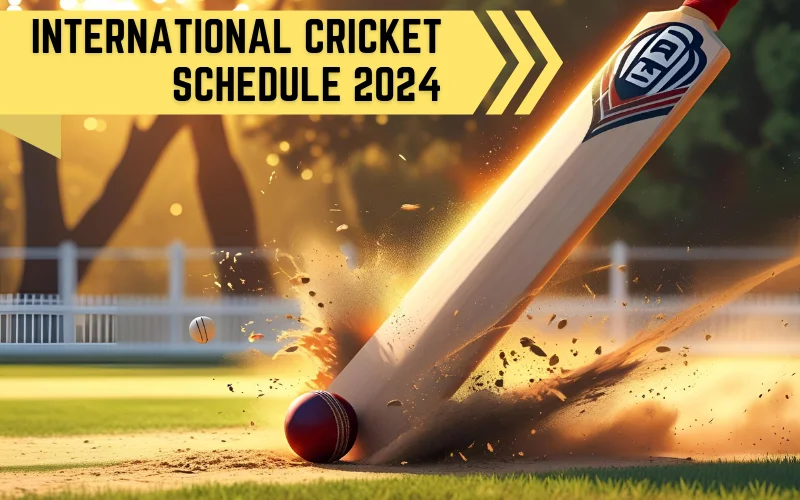 international cricket